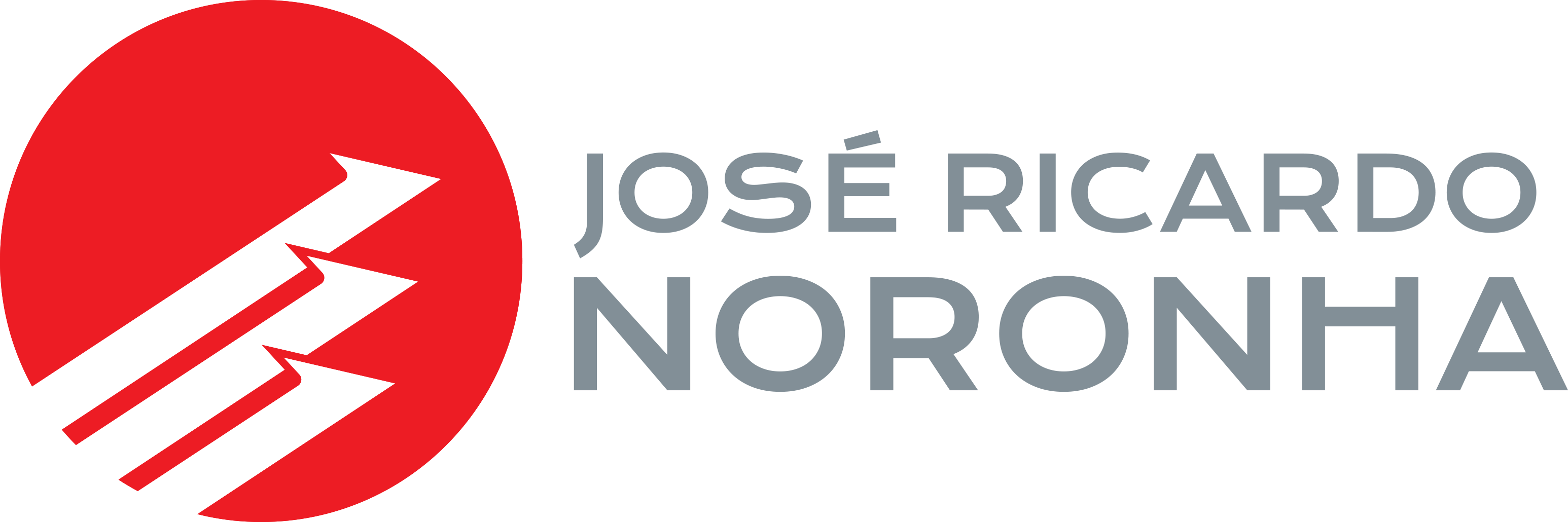 Jos&eacute; Ricardo Noronha